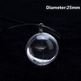 2016 Hot sale  Crystal Glass Ball Dandelion Necklace Long Strip Leather Chain Pendant Necklaces For Women Jewelry Gift